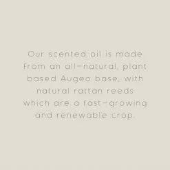 The Edited Life Wellness 200ml Oil Mint Reed Diffuser -Ornaments Sales Store 1000183229 alt09