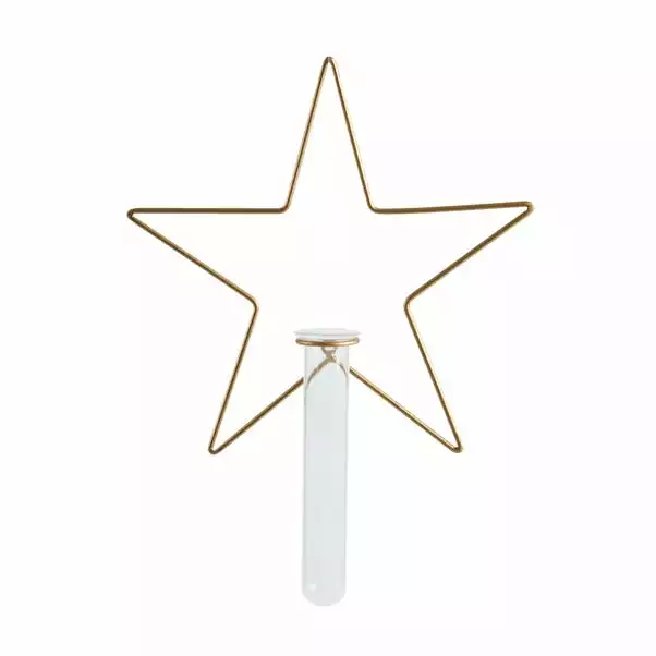 Dunelm Star Wire Wall Vase 2 Dunelm Star Wire Wall Vase - Image 2