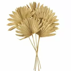 Dunelm Dried Gold Sun Spear Bundle -Ornaments Sales Store 30730255 alt04