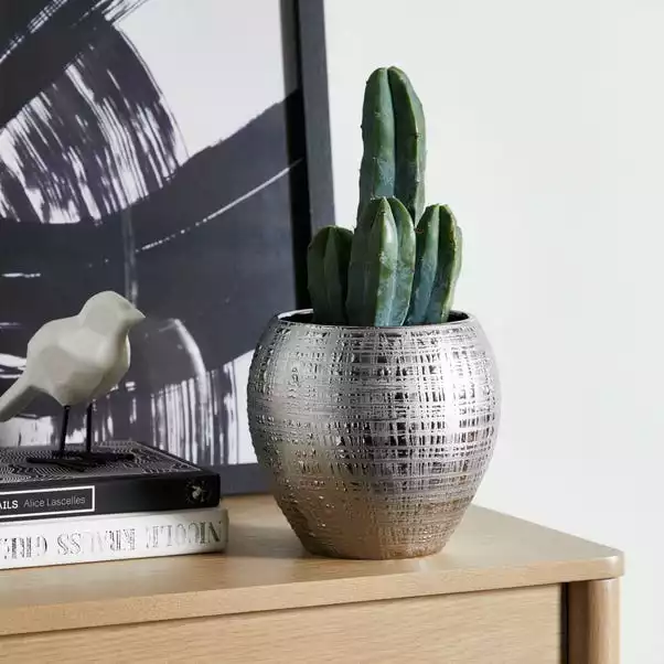 Dunelm Silver Romano Plant Pot 15cm 1 Dunelm Silver Romano Plant Pot 15cm