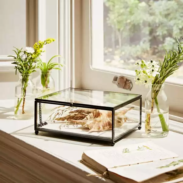 Natural History Museum Small Trinket Box 18cm 2 Natural History Museum Small Trinket Box 18cm - Image 2