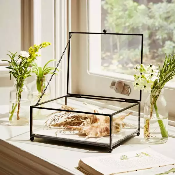 Natural History Museum Small Trinket Box 18cm 3 Natural History Museum Small Trinket Box 18cm - Image 3