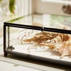 Natural History Museum Small Trinket Box 18cm 9 Natural History Museum Small Trinket Box 18cm -Ornaments Sales Store 30752231 alt03