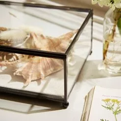 Natural History Museum Small Trinket Box 18cm 10 Natural History Museum Small Trinket Box 18cm -Ornaments Sales Store 30752231 alt04