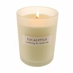 The Edited Life Wellness Soy Eucalyptus Candle -Ornaments Sales Store 30752264 alt03