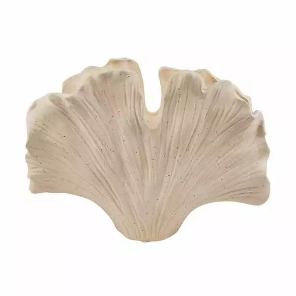 Dunelm Gingko Shell Vase Cream 32cm 4 Dunelm Gingko Shell Vase Cream 32cm - Image 4