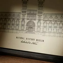 Natural History Museum Cathedral To Nature Framed Canvas -Ornaments Sales Store 30753729 alt03