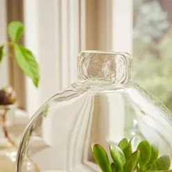 Natural History Museum Mango Wood Cloche -Ornaments Sales Store 30756334 alt02