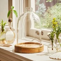 Natural History Museum Mango Wood Cloche -Ornaments Sales Store 30756334 alt04