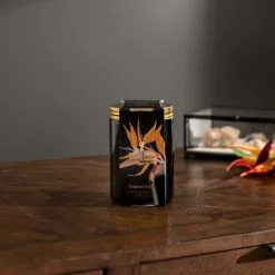 Natural History Museum Tropical Paradise Candle 410g