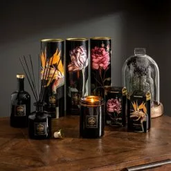 Natural History Museum Tropical Island Diffuser Refill 360ml -Ornaments Sales Store 30757817 alt03