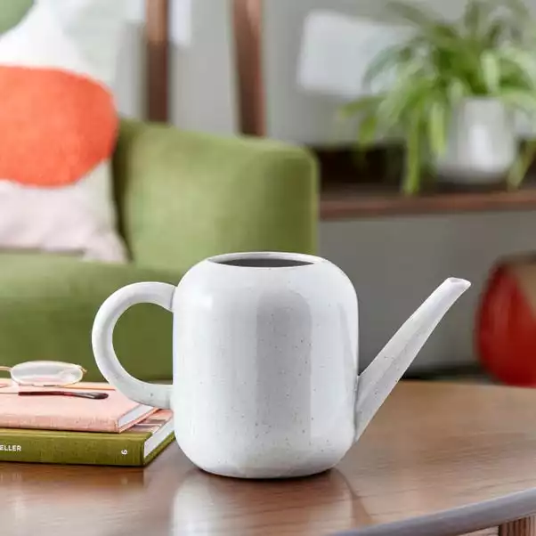 Dunelm Elements Sculpted Watering Can 1 Dunelm Elements Sculpted Watering Can