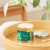 Wax Lyrical Tropical Island Single Wick Candle
