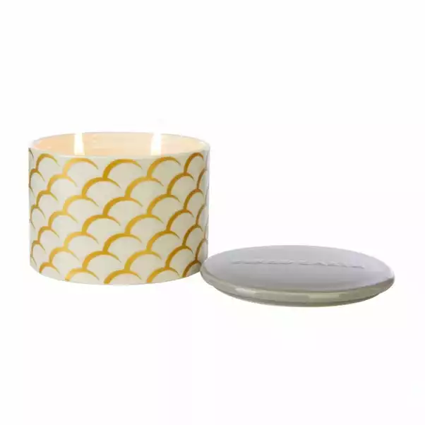 Fired Earth Large Ceramic White Tea & Pomegranate Wax Filled Candle 2 Fired Earth Large Ceramic White Tea & Pomegranate Wax Filled Candle - Image 2