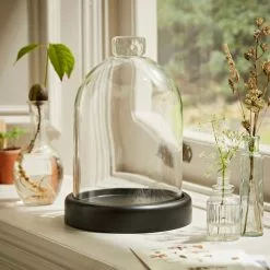 Dunelm Black Mango Wood Cloche -Ornaments Sales Store 30779657 alt04