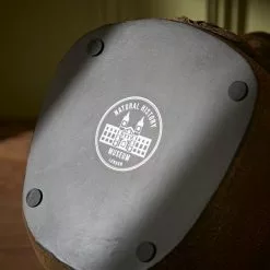 Natural History Museum Lion Glasses Holder -Ornaments Sales Store 30782232 alt05