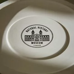 Natural History Museum Cathedral To Nature Large Lantern -Ornaments Sales Store 30782302 alt04