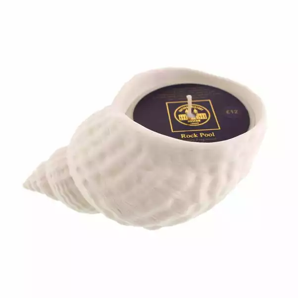 Natural History Museum Whelk Rock Pool Candle 1 Natural History Museum Whelk Rock Pool Candle