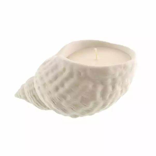 Natural History Museum Whelk Rock Pool Candle 2 Natural History Museum Whelk Rock Pool Candle - Image 2