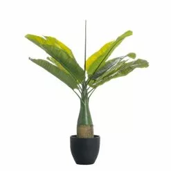 Real Touch Banana Tree 92cm 5 Real Touch Banana Tree 92cm -Ornaments Sales Store 30797244 alt02