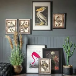 Cedar & Sage Set Of 4 Full House Framed Art