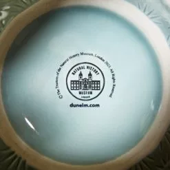 Natural History Museum Corallite Vase 28cm -Ornaments Sales Store 30798464 alt03