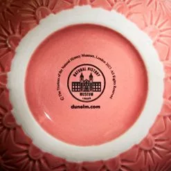 Natural History Museum Corallite Bud Vase 14cm -Ornaments Sales Store 30798926 alt03