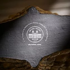 Natural History Museum Resin Shell Vase -Ornaments Sales Store 30800585 alt04