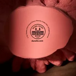 Natural History Museum Weighted Coral Reef Ornament -Ornaments Sales Store 30800589 alt03