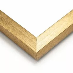 Dunelm Set Of 2 Framed Prints - Parrot Paradise -Ornaments Sales Store 30808373 alt02