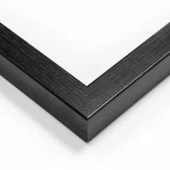 Dunelm Racing Bug Framed Print -Ornaments Sales Store 30808392 alt02