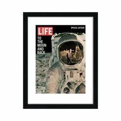 Ornaments Sales Store -Ornaments Sales Store 30808941 alt01