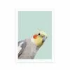 East End Prints Cockatiel Print