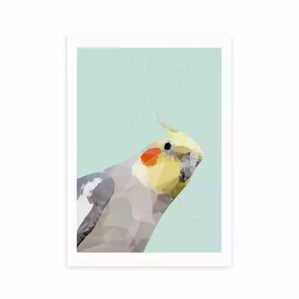 East End Prints Cockatiel Print 1 East End Prints Cockatiel Print