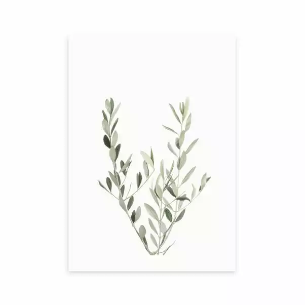 East End Prints Botanical II - Olive Branch Print 2 East End Prints Botanical II - Olive Branch Print - Image 2
