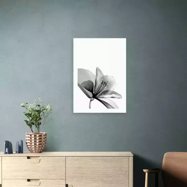 East End Prints Amaryllis Print 1 East End Prints Amaryllis Print