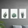 Set Of 3 East End Prints Succulent Gallery Wall Prints
