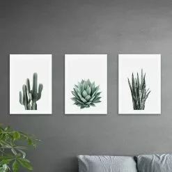 Set Of 3 East End Prints Succulent Gallery Wall Prints
