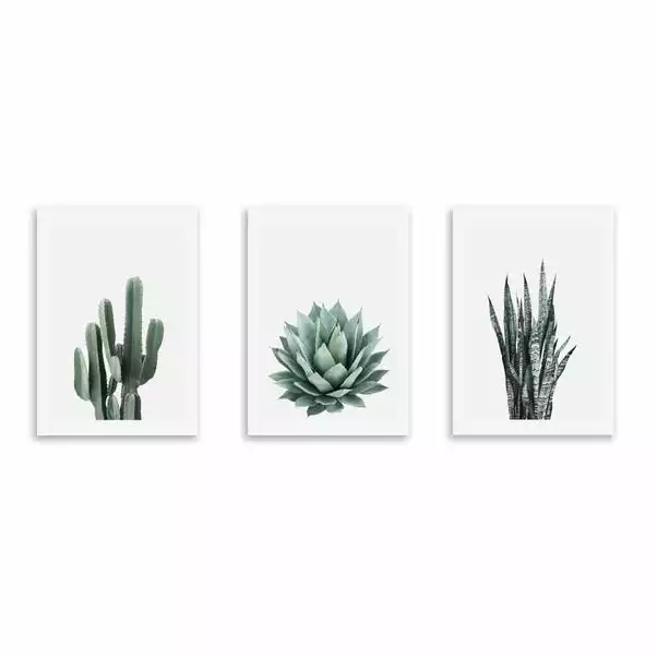Set Of 3 East End Prints Succulent Gallery Wall Prints 2 Set Of 3 East End Prints Succulent Gallery Wall Prints - Image 2